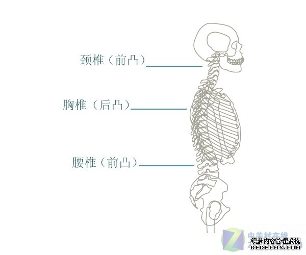 珍爱后半生 电脑椅选购八大要素看仔细 