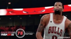 如何解决NBA2K16闪退，NBA2K16闪退的解决方法