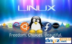 Linux系统查看和结束进程的步骤。