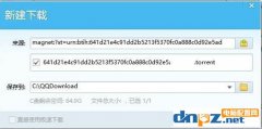 迅雷磁力链接怎么下载